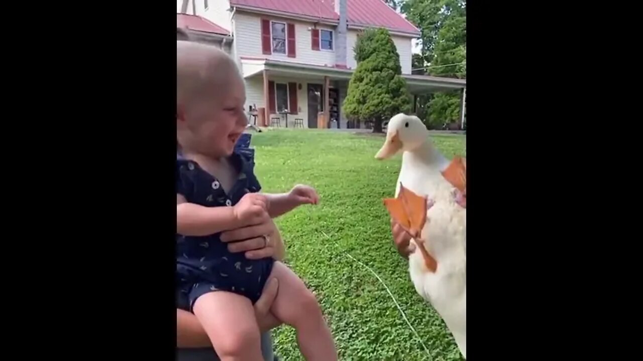 Baby laughing with Duck #ytshorts #shorts #PetpupFun