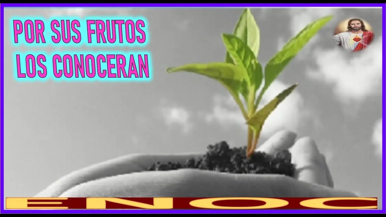 POR SUS FRUTOS LOS CONOCERAN - MENSAJE DE JESUCRISTO REY A ENOC