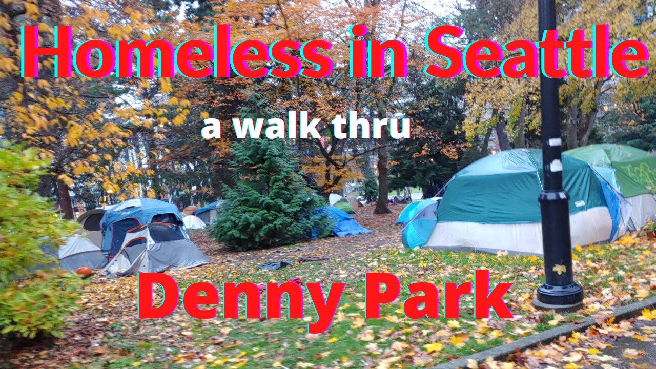 A Walk thru Denny Park Homeless Camp Downtown Seattle