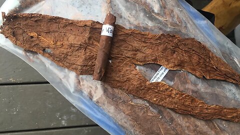 Paraguayan Viso - Cigar Leaf Tasting Notes