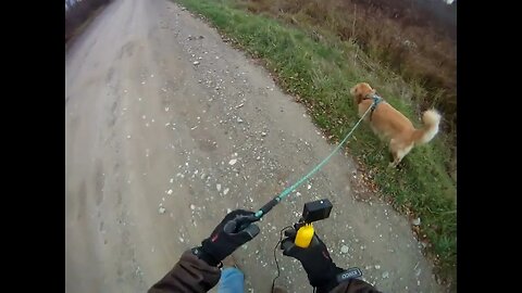 October 29th, 35º, short Sunday walk with Flynn