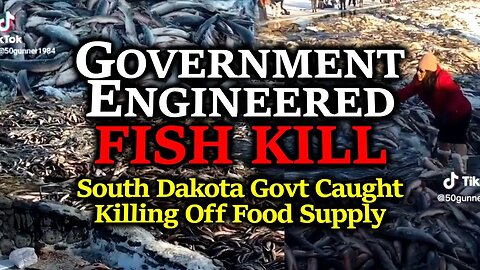 They're Killing MORE FISH!