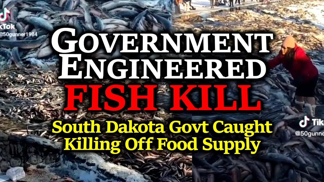 They're Killing MORE FISH!