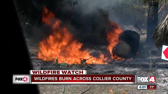 Wildfires expand to 7,000 acres in Southwest Florida