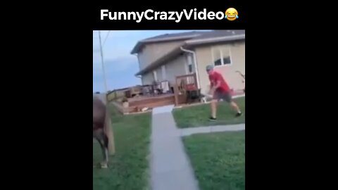 Mr FunnyCrazyVideo😂 Just Incredible Video Funny and Crazy #Like Follow for Follow 🥰