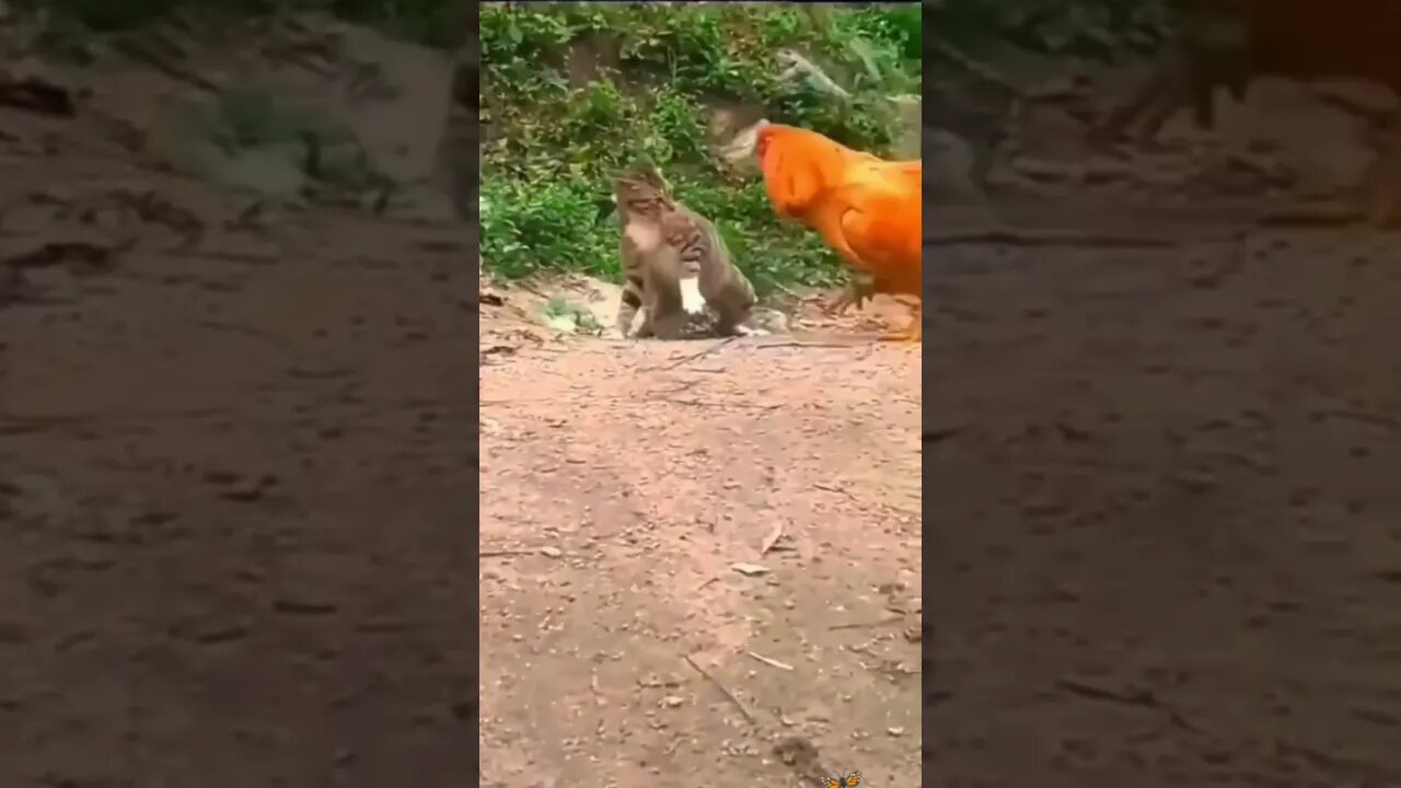 Esto no termina bien🖐️🙀👀