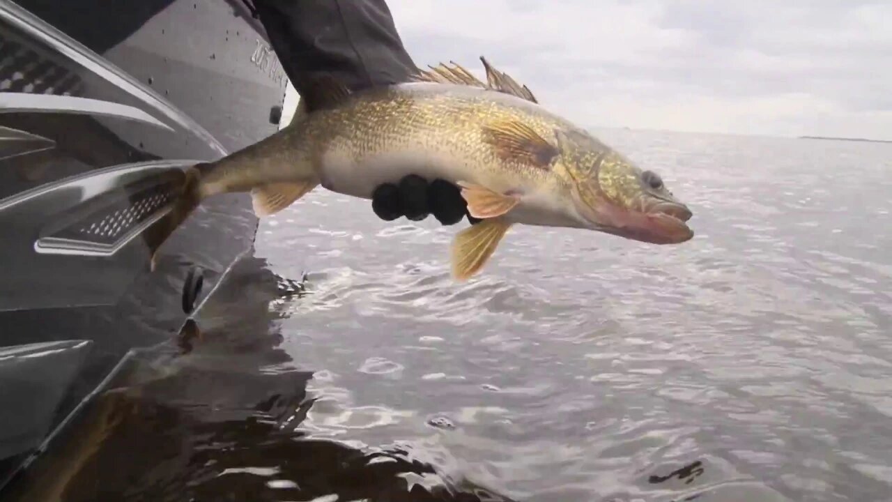 MidWest Outdoors TV Show #1620 - Early Spring Walleye with the B-Fish-N crew.