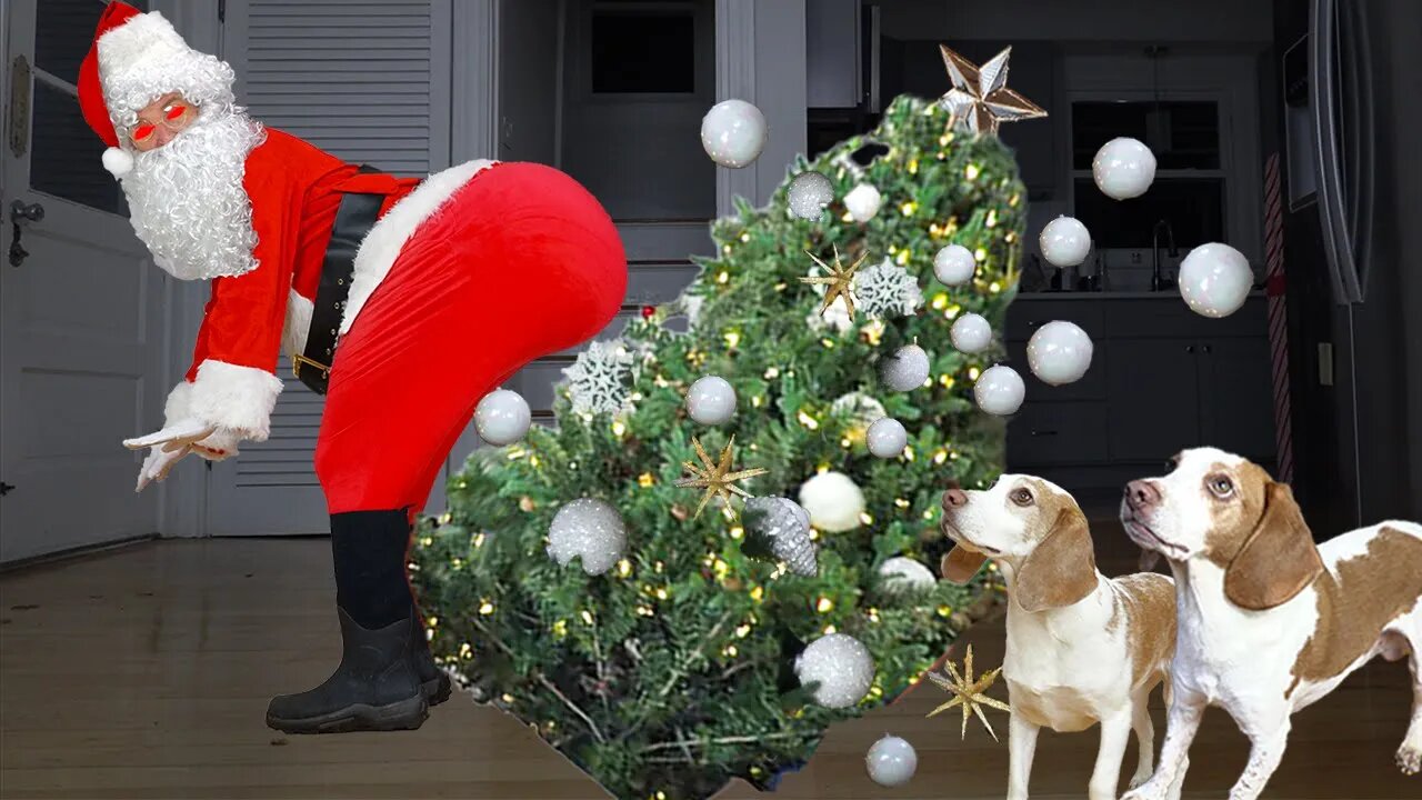 Can These Dogs Defeat Evil Twerking Santa?.