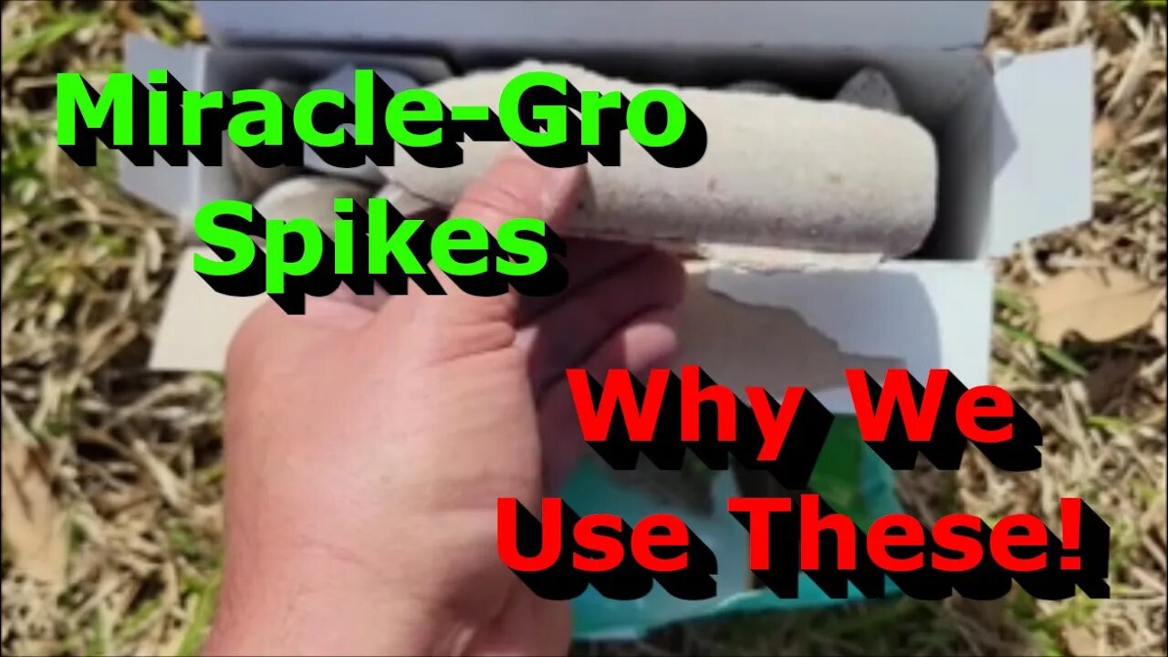 Why We Use These Miracle-Gro Tree & Shrub Plant Food Spikes