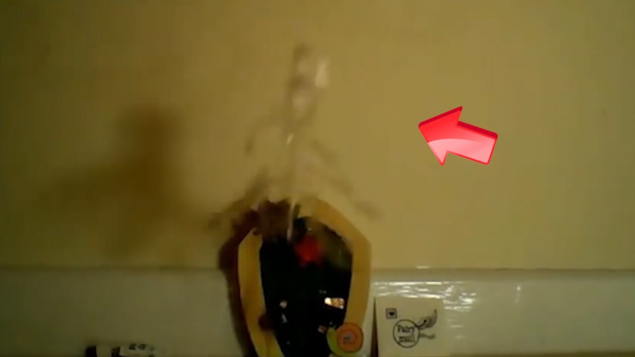 Sighting of a white transparent fairy-like creature in the room [conspiracy]