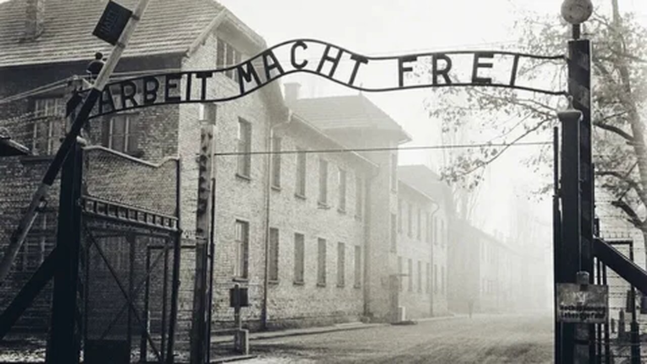 David Cole in Auschwitz: David Cole Interviews Dr. Franciszek Piper. Truth about Auschwitz.