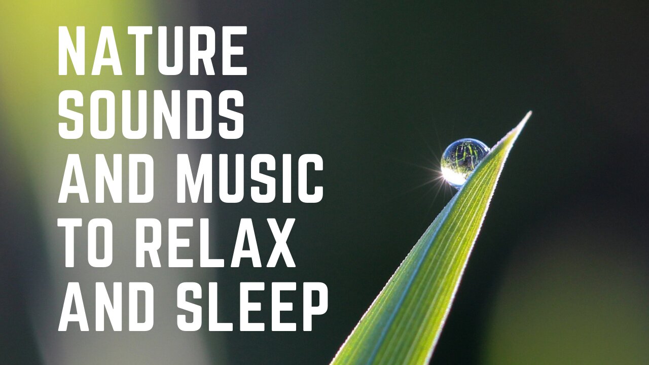 Nature Sounds and Music to Relax and Sleep | Filtr Brasil