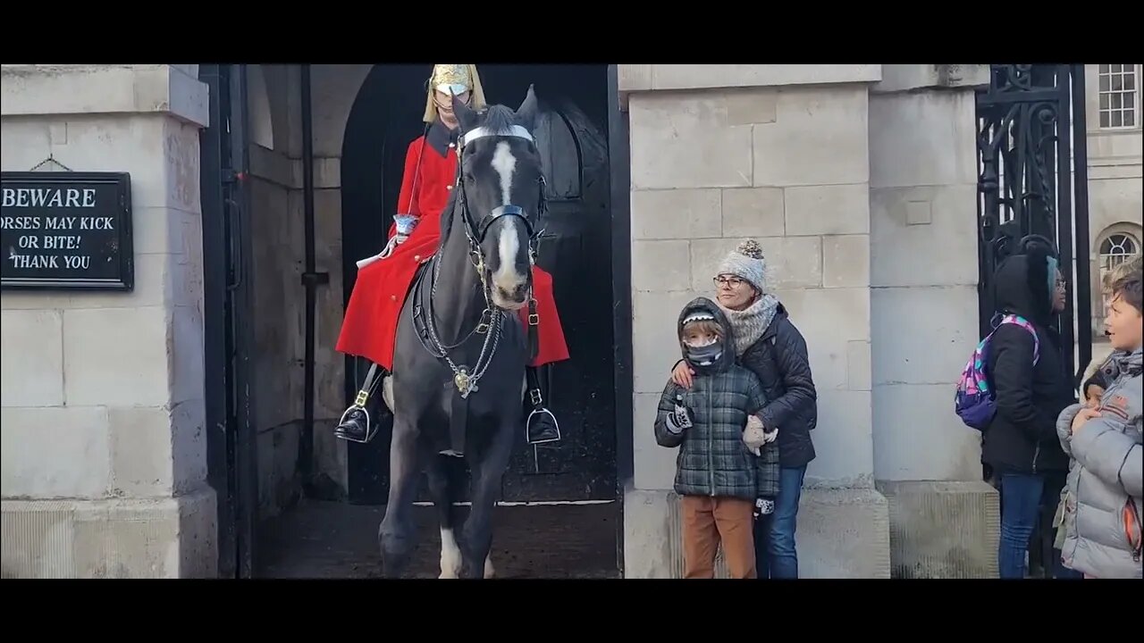 Daring them self to touch #horseguardsparade