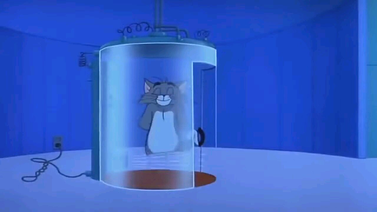 Tom and Jerry funny video