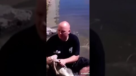 ALLIGATOR BITES MAN