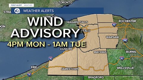 7 First Alert Forecast 1102 Noon