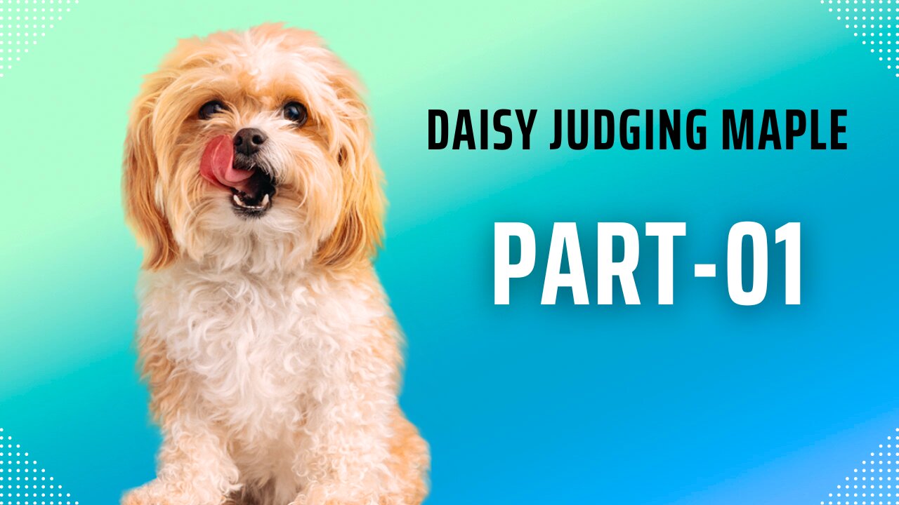 Daisy judging Maple Part-01