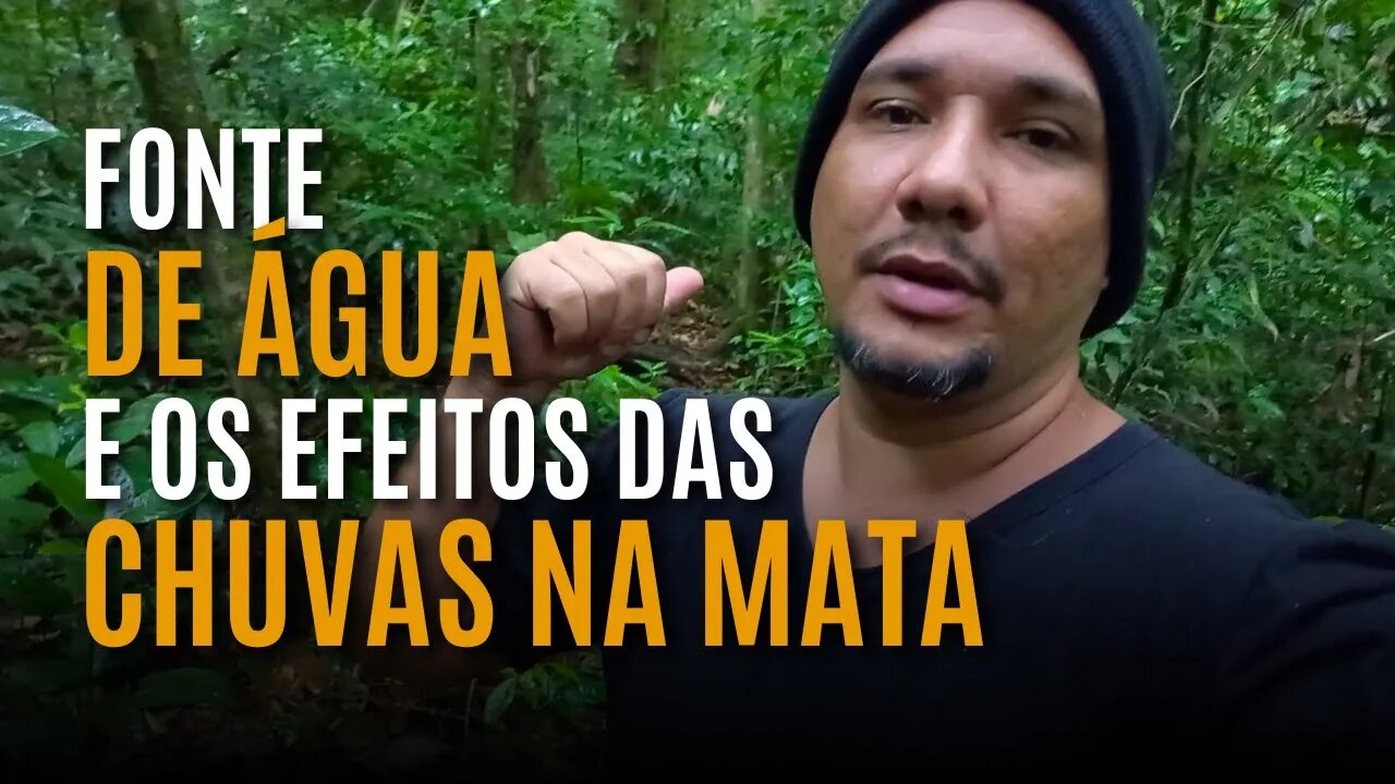 Mostrando uma das nossas FONTES de ÁGUA e o efeitos das CHUVAS na MATA