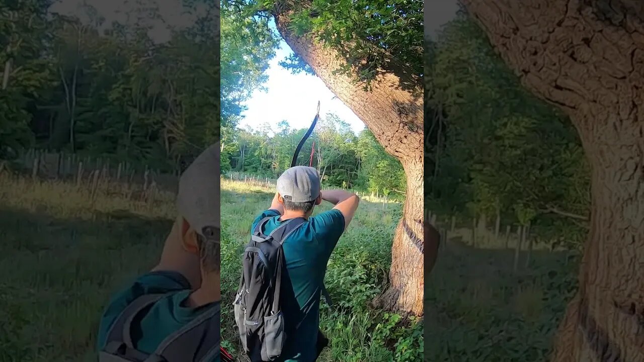 45LBS TUTKISH BOW 2 ARROWS