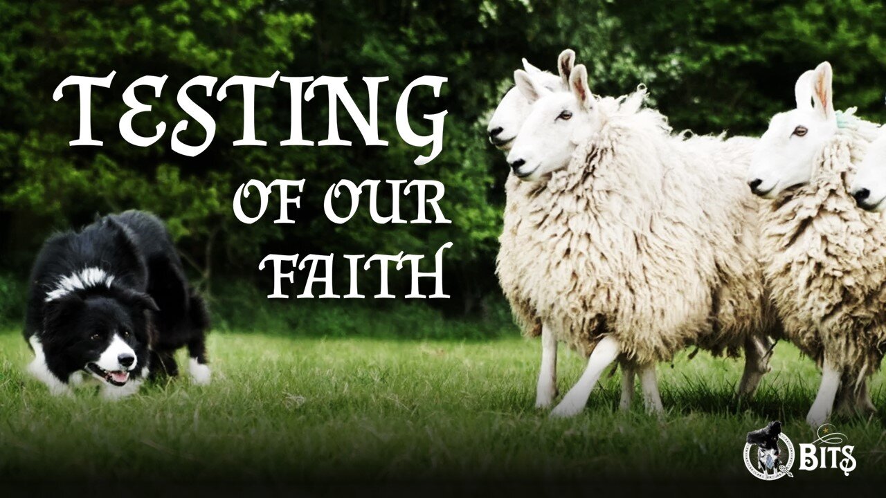 #826 // TESTING OF OUR FAITH - LIVE