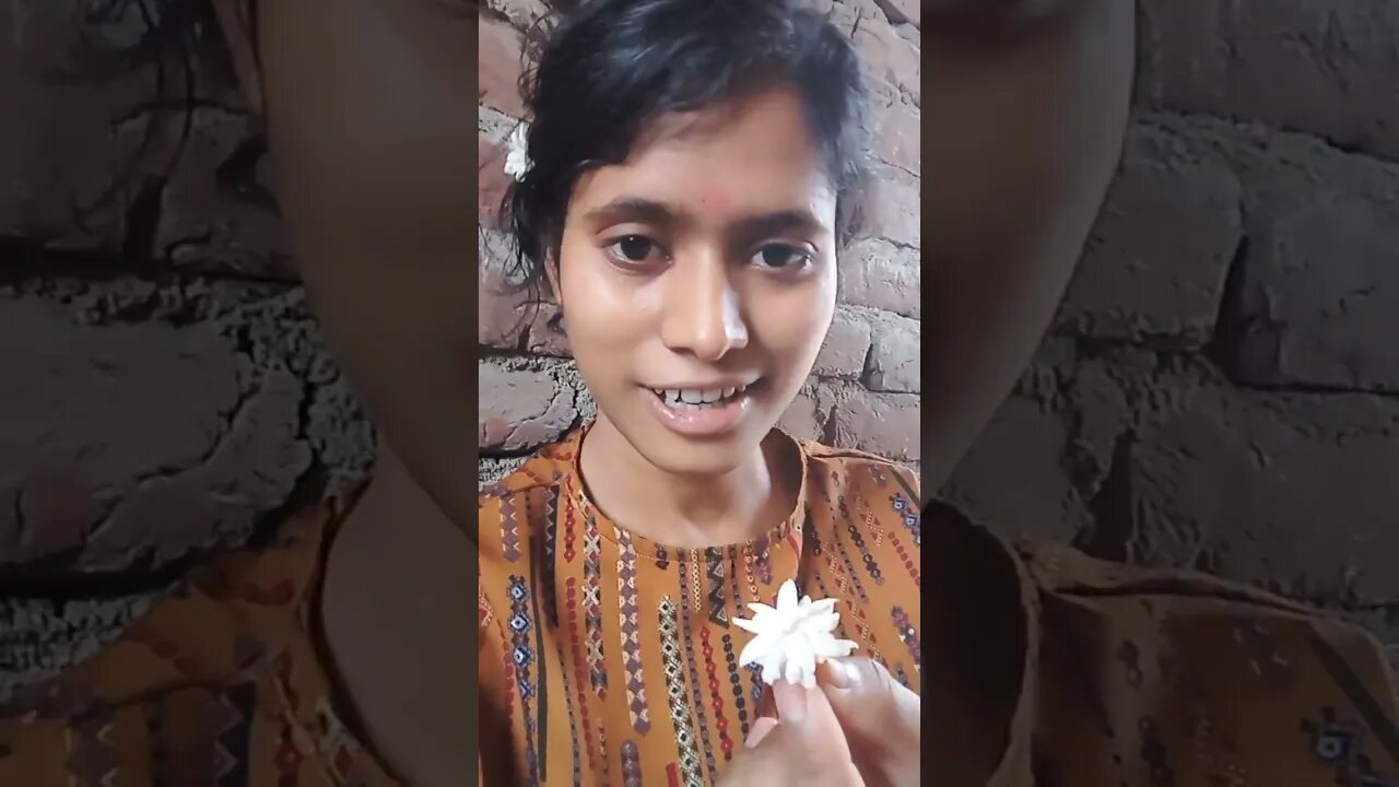 Bela ka phool Ko Sanskrit mein kya kahate Hain #sanskrit #anjalisanskriti