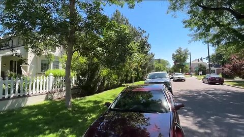 Driving You Crazy: What is the rule for parking if trees are obstructing the view of a parking sign?