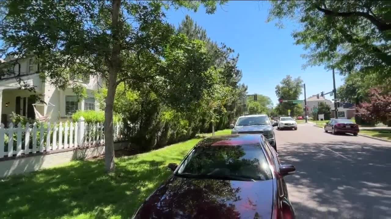 Driving You Crazy: What is the rule for parking if trees are obstructing the view of a parking sign?