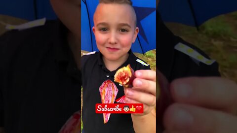 He Discovered ANOTHER DELICIOUS FIG in our Little Orchard! 👦🏻❤️😋 #shorts #viral #tiktok