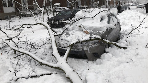 Une neige lourde qui cause accidents et bris de branches