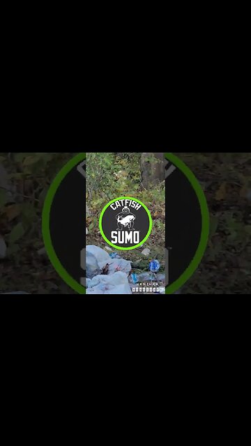 Cleaning Up The River Bank