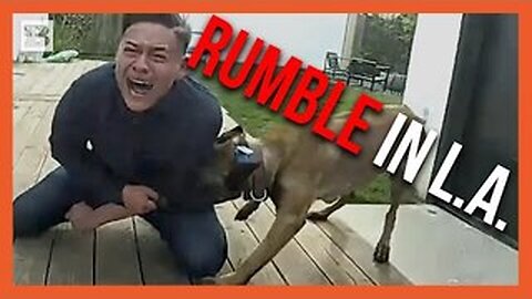 L.A. Rumble! Suspect Runs After Wrecking Stolen Car, Jumps Fences, Fights K9's Before Being Subdued