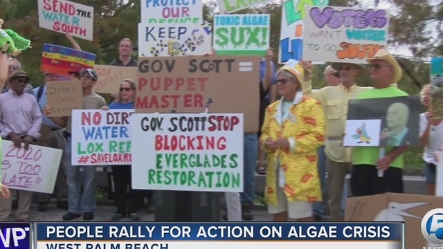 People rally for action on algae crisis