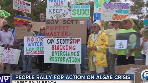 People rally for action on algae crisis
