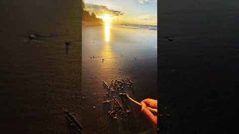 You are amazing 🌅 #youtubeshorts #beach #shorts