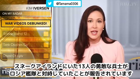 ウクライナのフェイクニュース統括