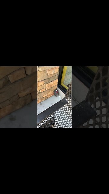 You have to leave your beer outside of the gym - Homeless problems