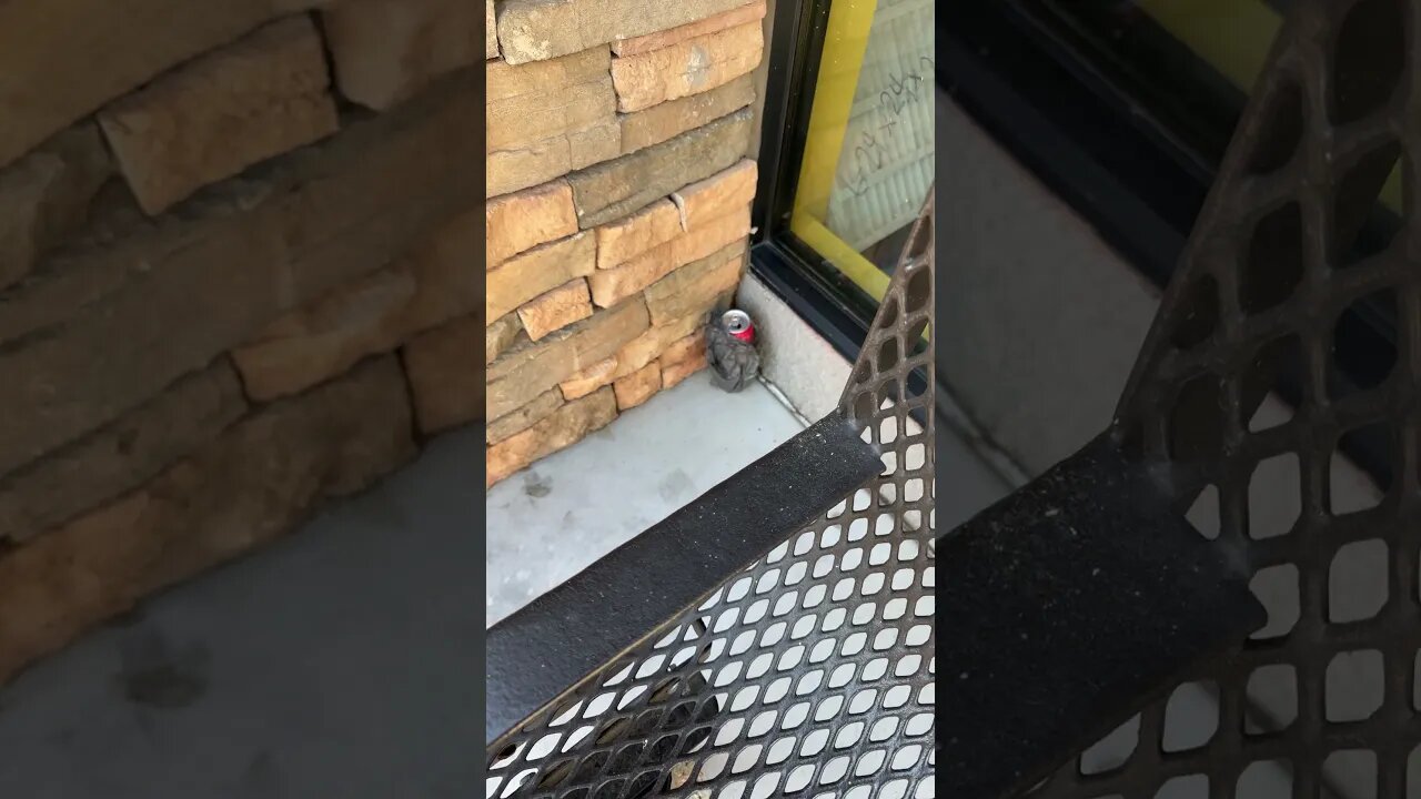 You have to leave your beer outside of the gym - Homeless problems