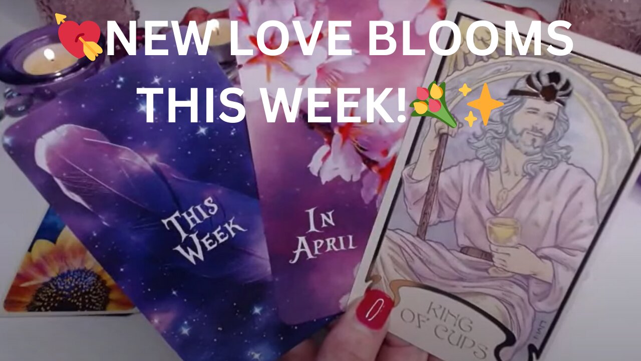 💘NEW LOVE BLOOMS THIS WEEK!💐✨YOUR KING IS ON THE WAY NOW👑🪄💘COLLECTIVE LOVE TAROT READING ✨