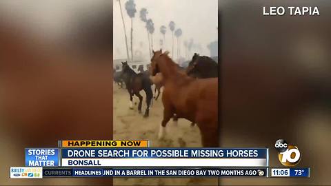 Drone search for possible missing horses following Lilac Fire