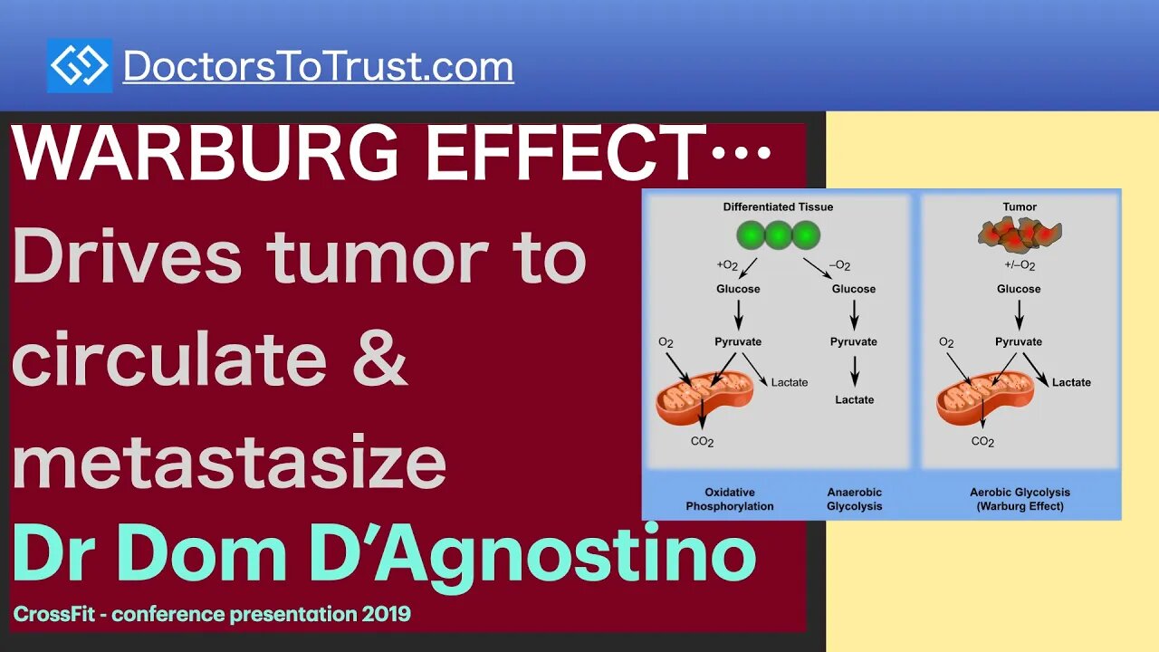 DOM D’AGNOSTINO 4 | WARBURG EFFECT…Drives tumor to circulate & metastasize