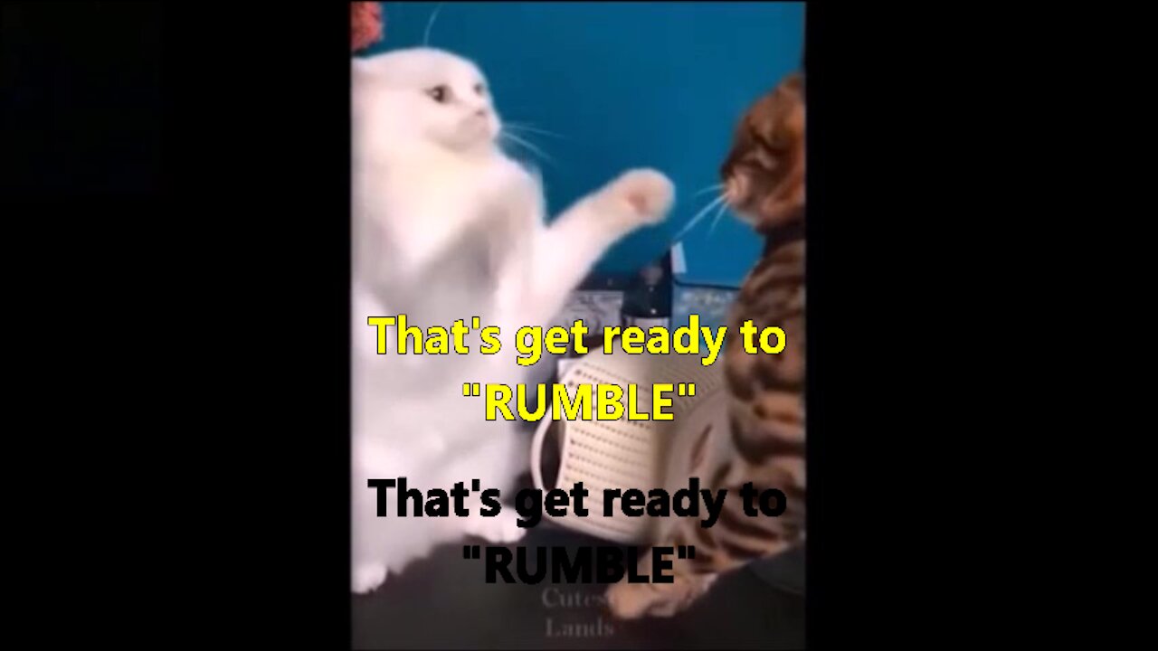 Let's get ready to "Rumble"