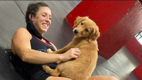 Cadela ajuda atleta a descontrair antes de competição