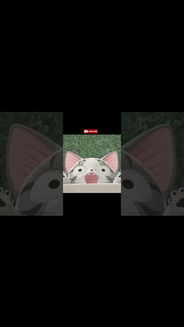 Daily #35 Japan Conversation with Chi #shorts #cat