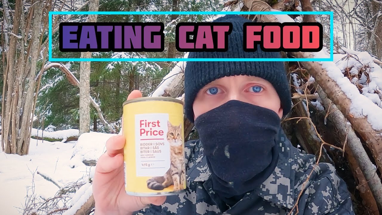 COOKING CAT FOOD & Drinking Whiskey!