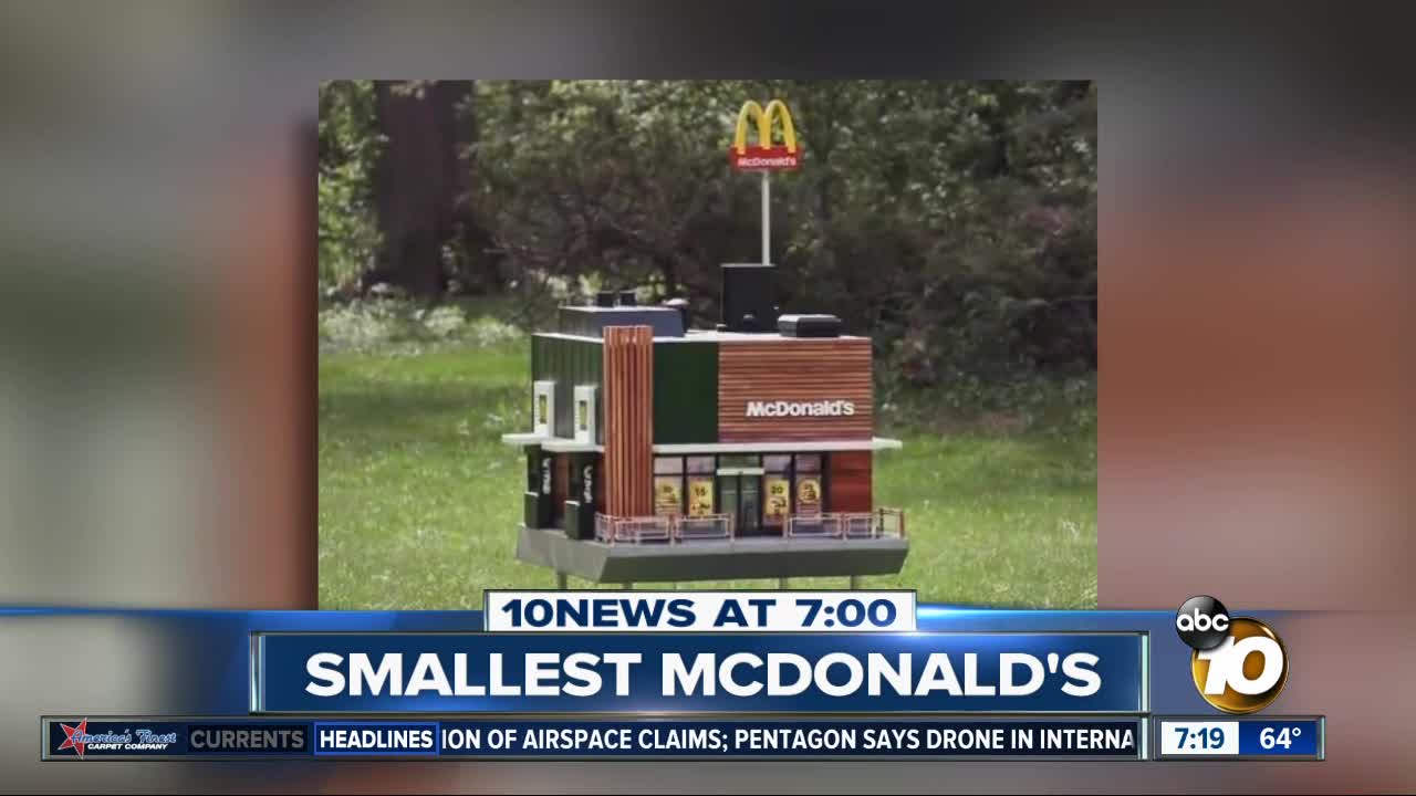 World's smallest McDonald's is for bees?