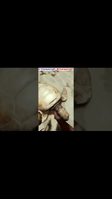 This One's All Bloody