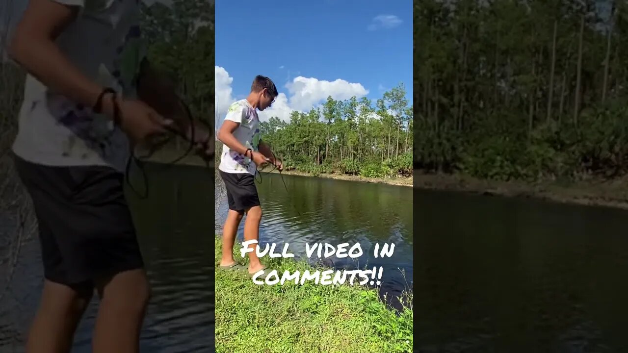 New mystery cast net video!