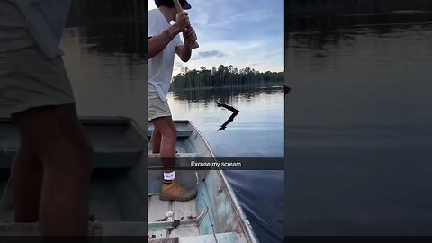 If you are gonna take a swing at a giant hornets nets you probably shouldn’t whiff 😐