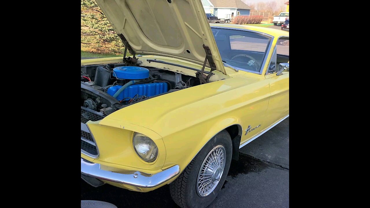 Barn find...sort of...blow out