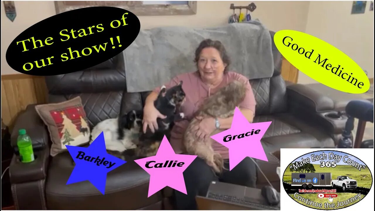 Meet the stars of our channel!!